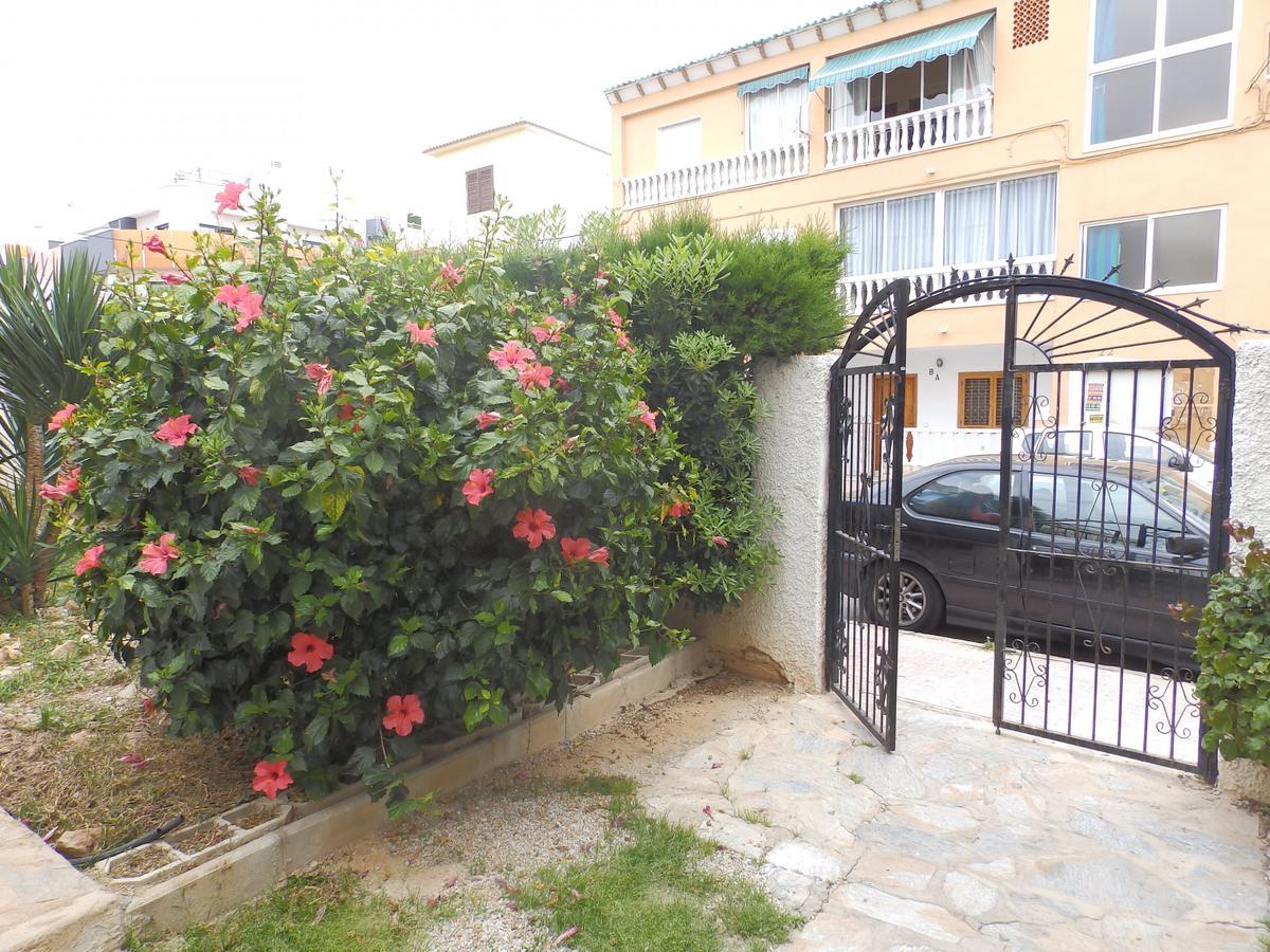 Apartament Alegria Id39 Torrevieja Zewnętrze zdjęcie